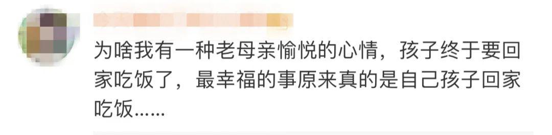 大熊猫吃不到新鲜竹子，两只“滚滚”提前回国……网友：欢迎回家吃饭