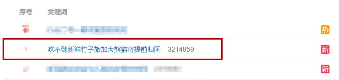 大熊猫吃不到新鲜竹子，两只“滚滚”提前回国……网友：欢迎回家吃饭
