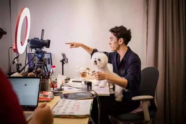 财经李佳琦们，“转正”