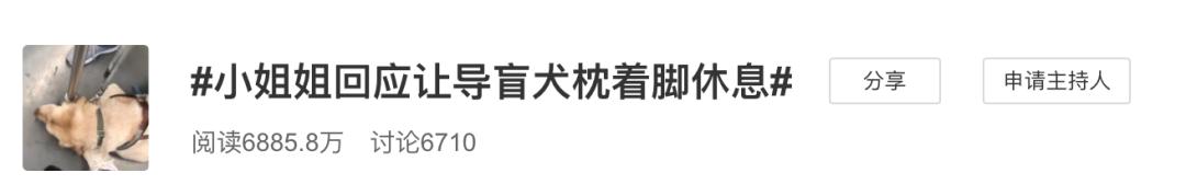 导盲犬让导盲犬枕着脚休息的小姐姐找到了！这个小细节太暖心