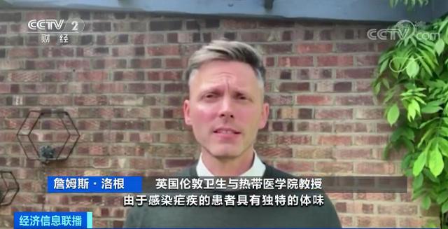 医疗狗能嗅出新冠病毒？这个国家豪掷430万元，训练医疗检测犬