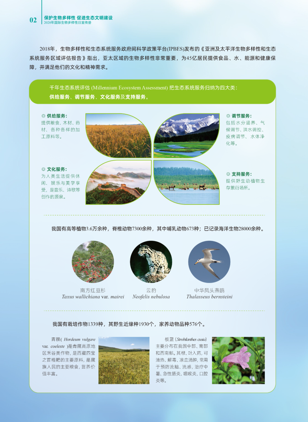 生物多样性国际生物多样性日丨篇一：呵护共同的地球家园