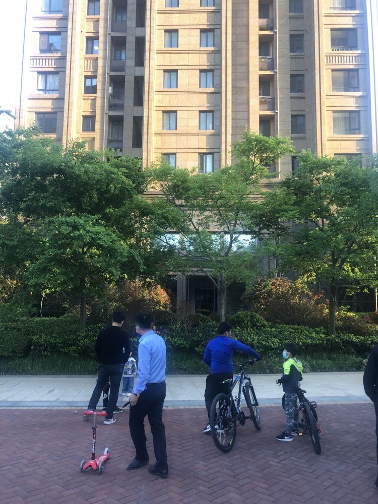 半岛都市报开窗见“大圣”！一猴子闯进崂山一小区“敲窗”觅食