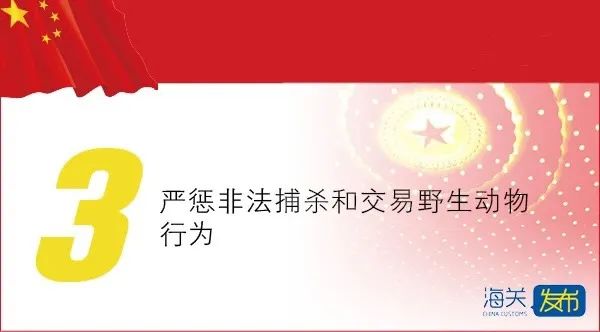 时政今天政府工作报告，这些与海关相关