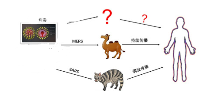 科学俗语“上山不捡肉，下水不捡鱼”，这其中蕴含着怎样的科学道理？