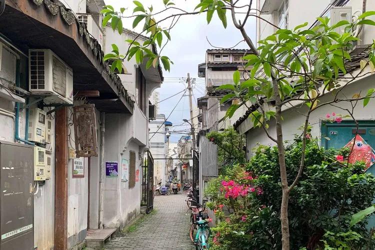 温州城这50多条古巷弄你都去过吗