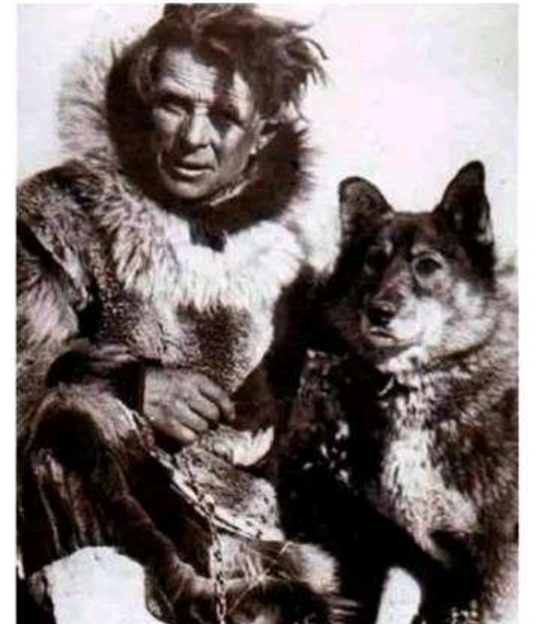 为了尽快拿到疫苗,当地政府被迫选择启用狗拉雪橇的方式运送疫苗.1925