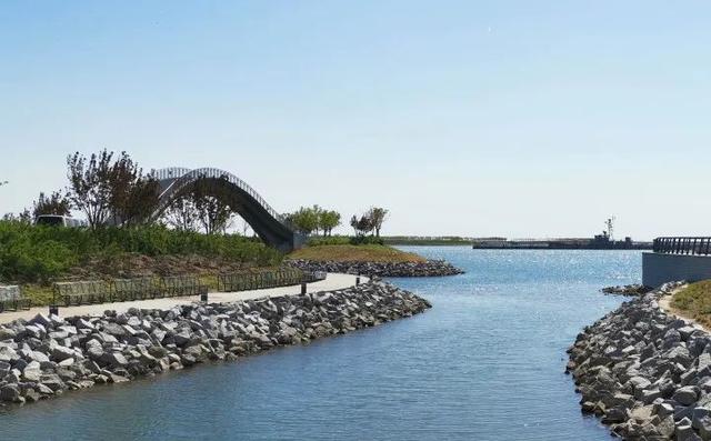 哇塞!滨海新区最大海景公园竟然是它