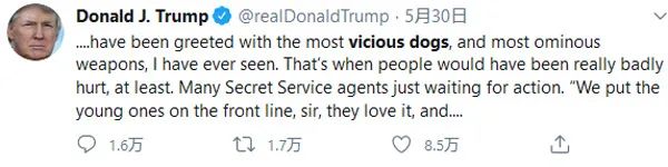 国际|佩洛西回应暴乱称要团结 “美丽风景线”不美了？