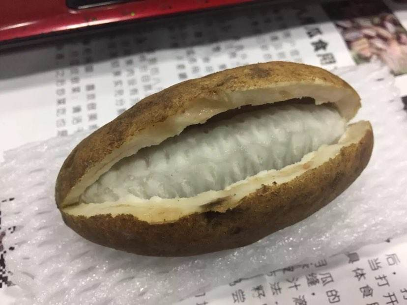 水果|夏天山上野果真不少，4种果子开始成熟，一次上山采一篮