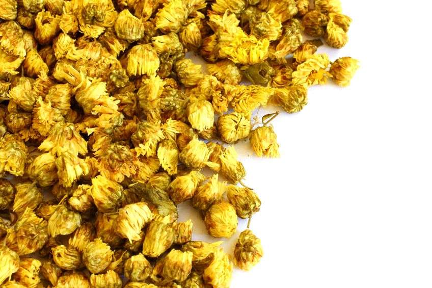 菊花茶|夏天喝菊花茶好处多多，提醒：对人有这4个功效，你都知道吗？