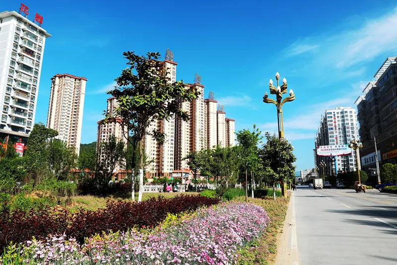 精彩徽县绿树成荫花满城