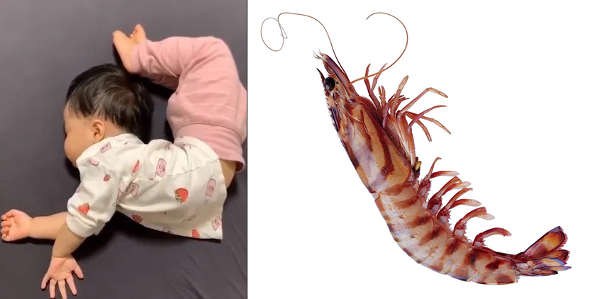 奇葩|娃的睡姿有多奇葩?掀开被子的一瞬间,我笑出猪叫