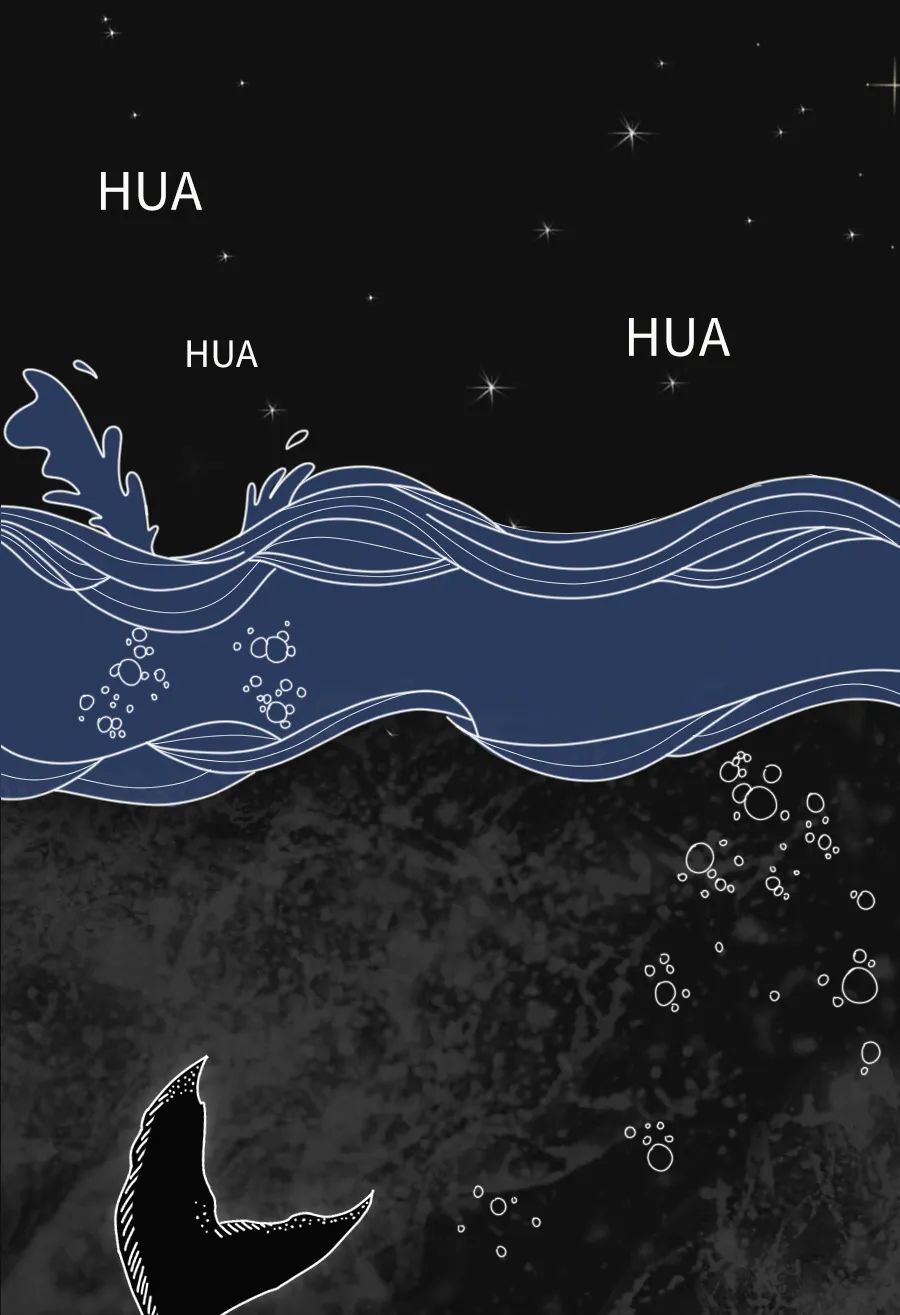 动物|物候期的动物迁徙