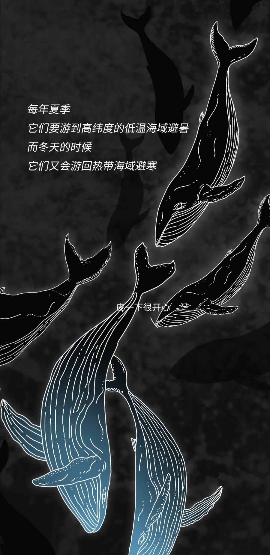 动物|物候期的动物迁徙