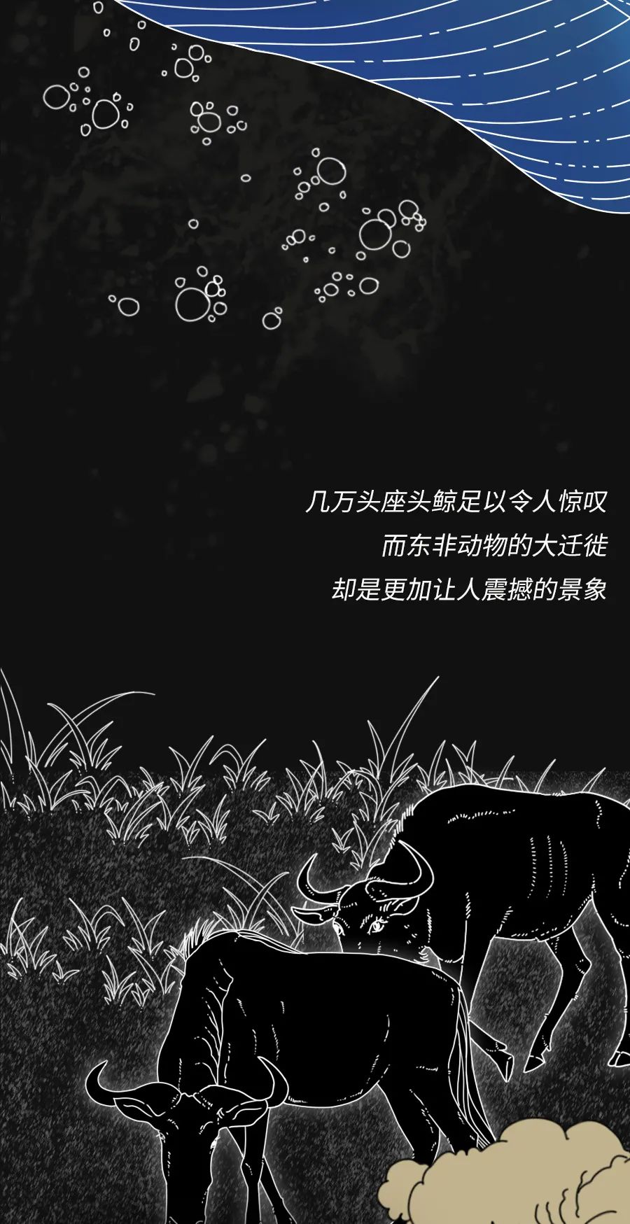 动物|物候期的动物迁徙