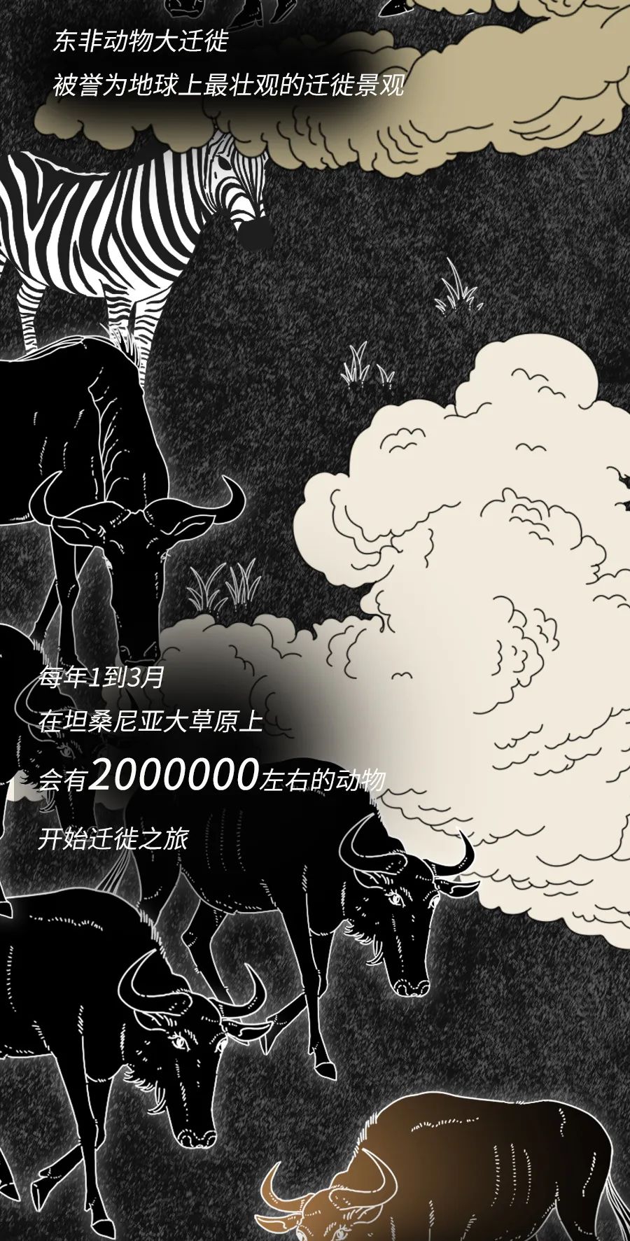 动物|物候期的动物迁徙