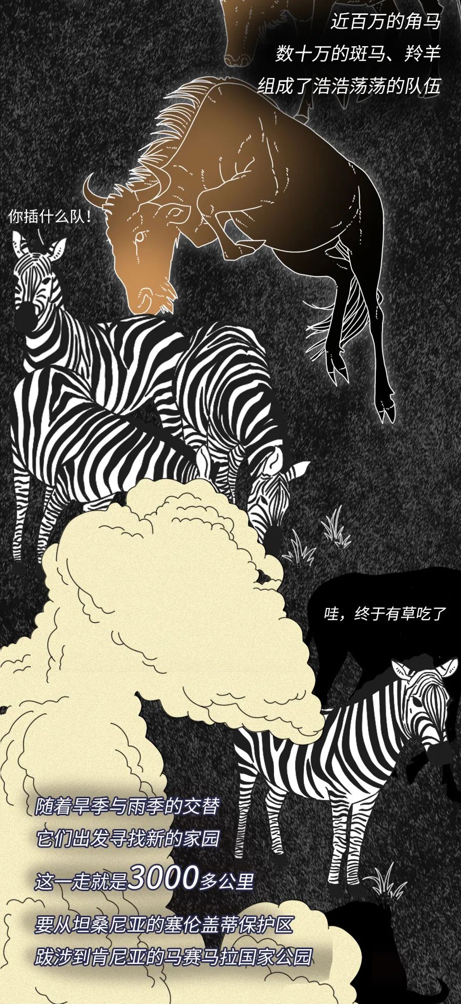 动物|物候期的动物迁徙