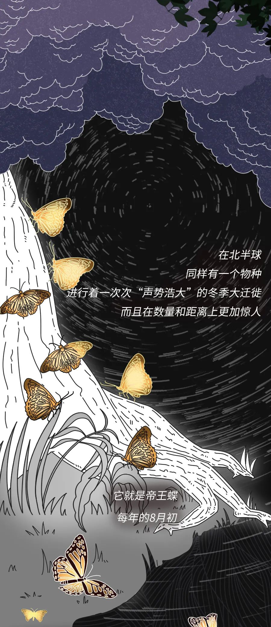 动物|物候期的动物迁徙