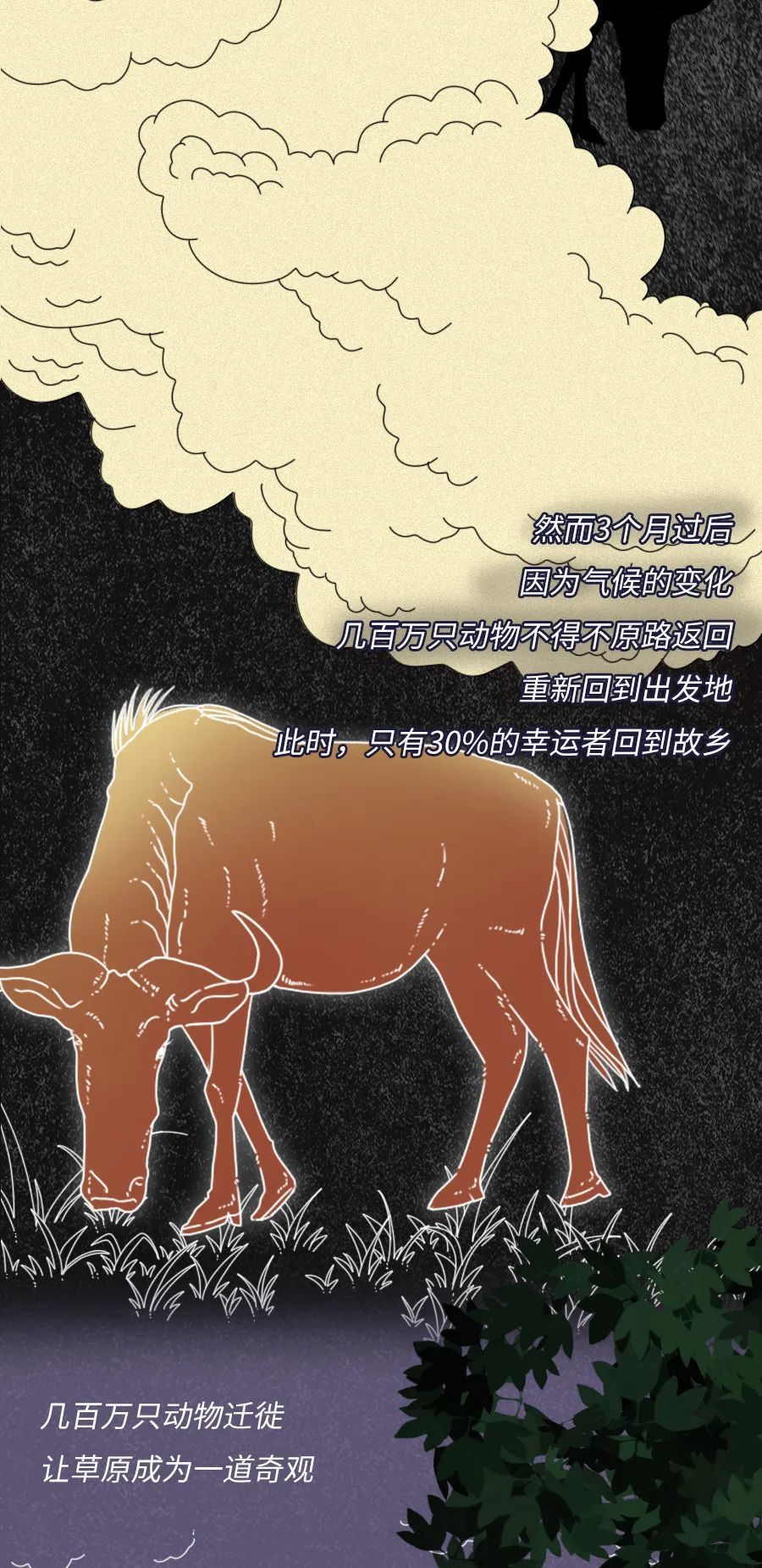 动物|物候期的动物迁徙