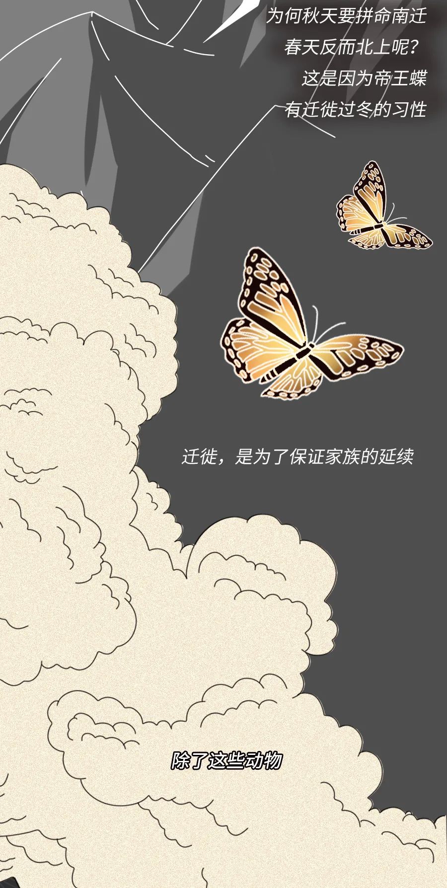 动物|物候期的动物迁徙