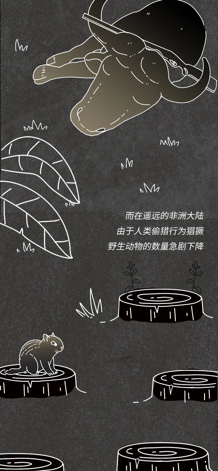 动物|物候期的动物迁徙