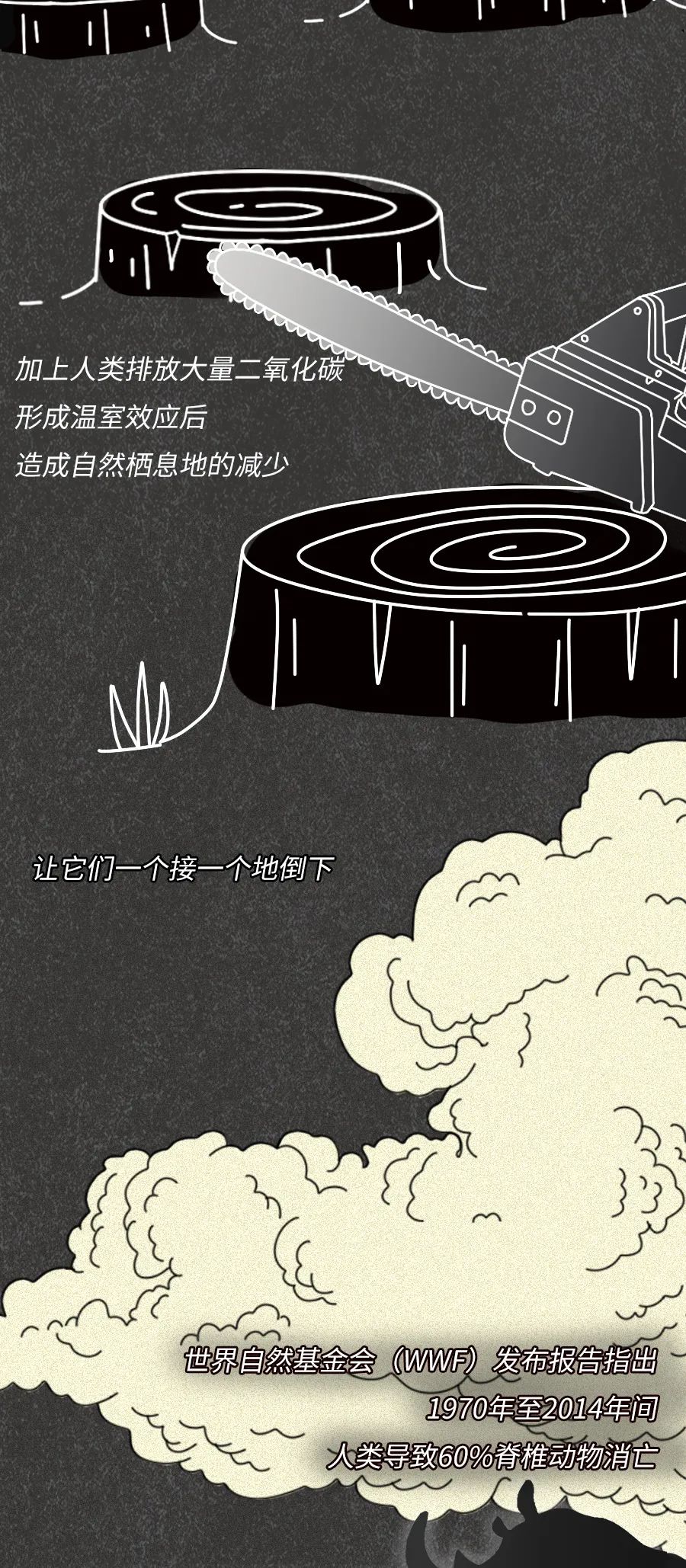 动物|物候期的动物迁徙