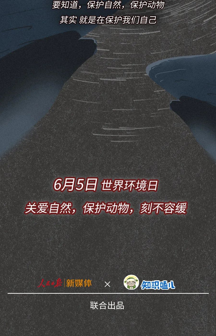 动物|物候期的动物迁徙