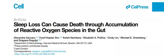 睡眠|今日《细胞》灵魂拷问:不睡觉就会死,这是为啥?