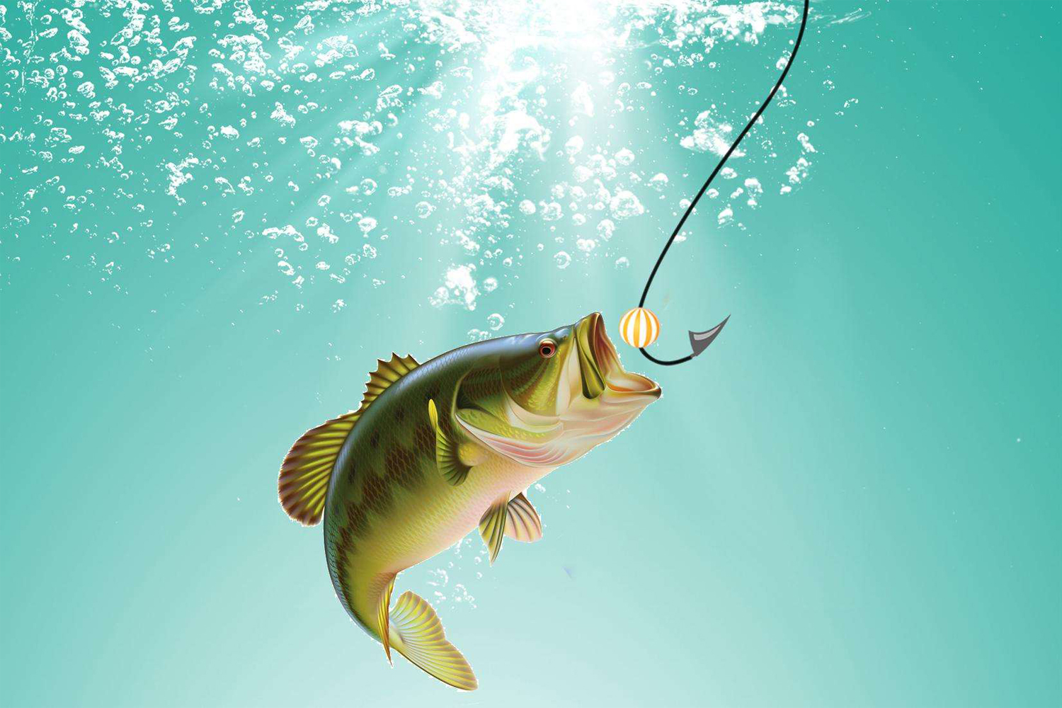 鱼咬钩时浮漂是如何动作的如何让鱼咬钩钓鱼时看漂抓口的方法