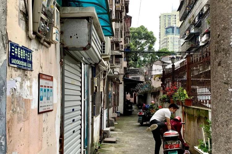 温州印象六新旧交替的美丽鹿城古老又年轻