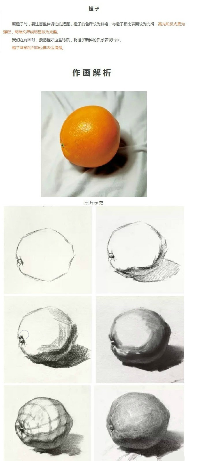 橘子素描图片步骤图片