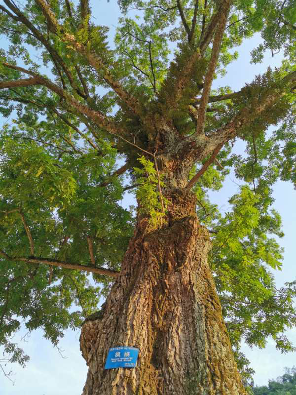 向往的生活宜昌土城乡高岩村静心康养闲适的古村落