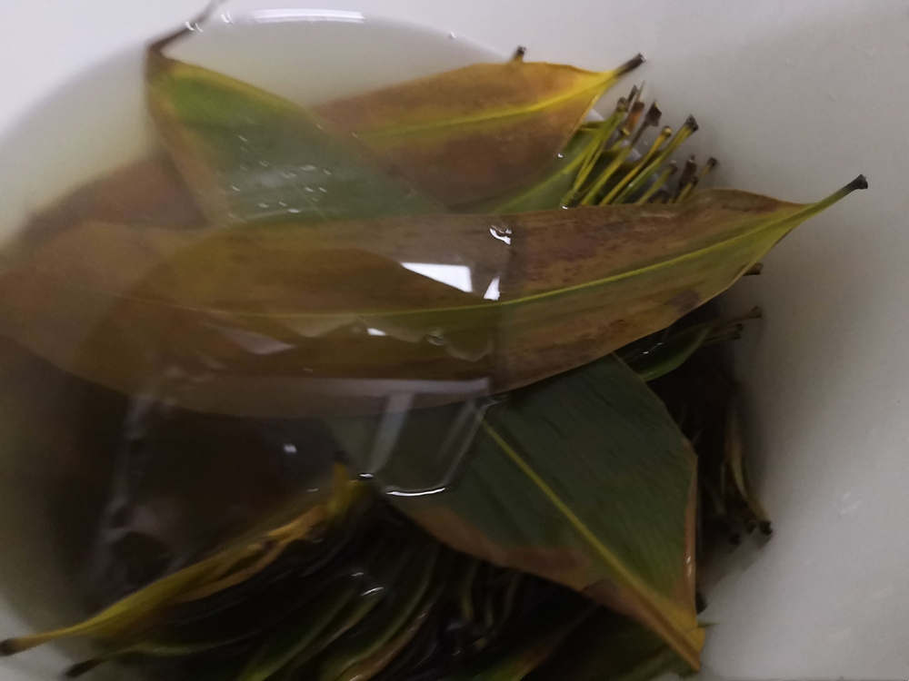 选粽子时,记得告诉家人"返青粽叶"不要买,买就亏了