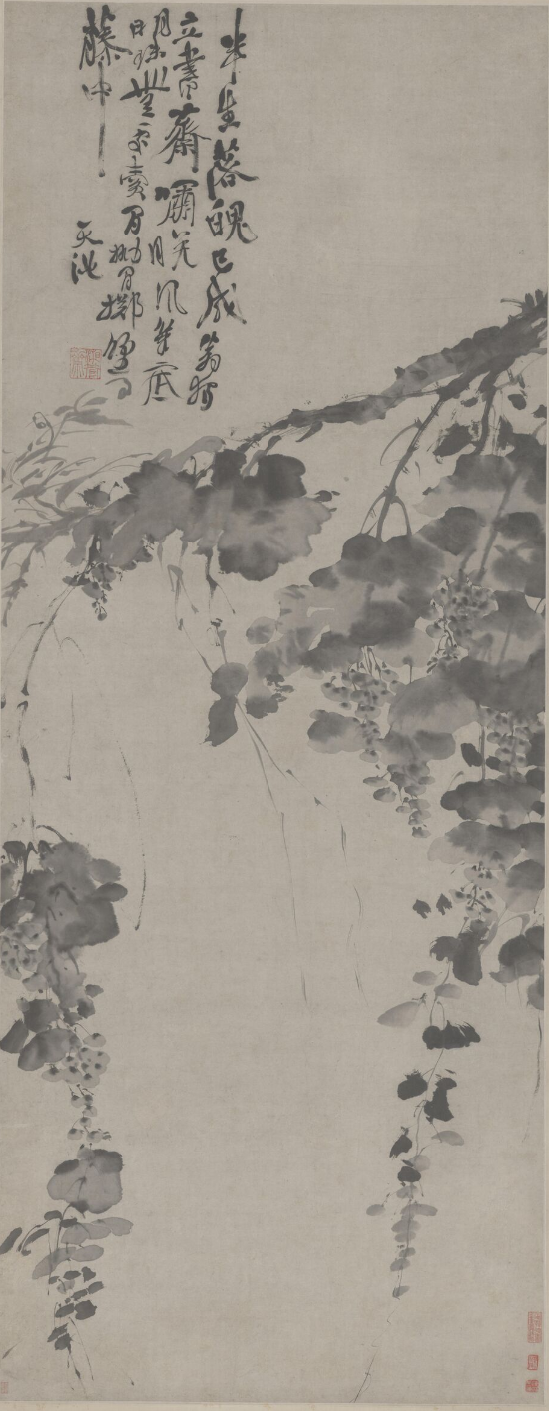 徐渭 《水墨葡萄图》