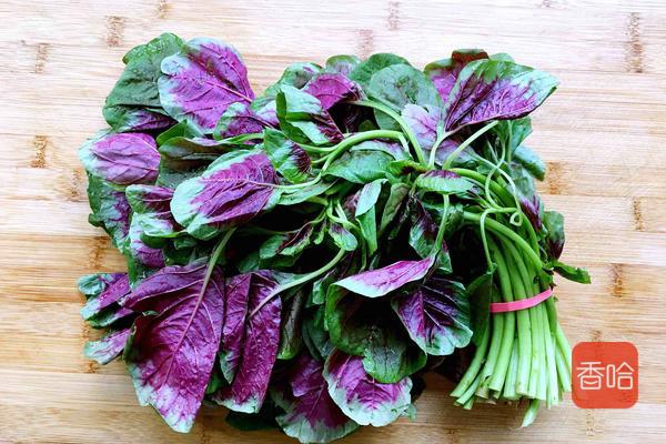 菜谱|它是公认的“长寿菜”，入夏吃胜过补药！做成饺子全家抢着吃！