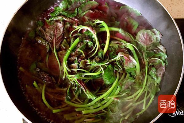 菜谱|它是公认的“长寿菜”，入夏吃胜过补药！做成饺子全家抢着吃！