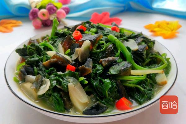 菜谱|它是公认的“长寿菜”，入夏吃胜过补药！做成饺子全家抢着吃！