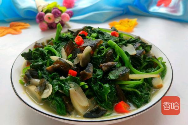 菜谱|它是公认的“长寿菜”，入夏吃胜过补药！做成饺子全家抢着吃！