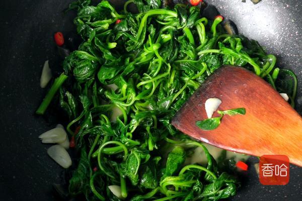 菜谱|它是公认的“长寿菜”，入夏吃胜过补药！做成饺子全家抢着吃！