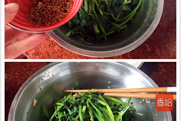 菜谱|它是公认的“长寿菜”，入夏吃胜过补药！做成饺子全家抢着吃！