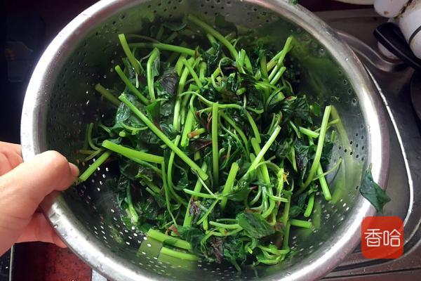 菜谱|它是公认的“长寿菜”，入夏吃胜过补药！做成饺子全家抢着吃！