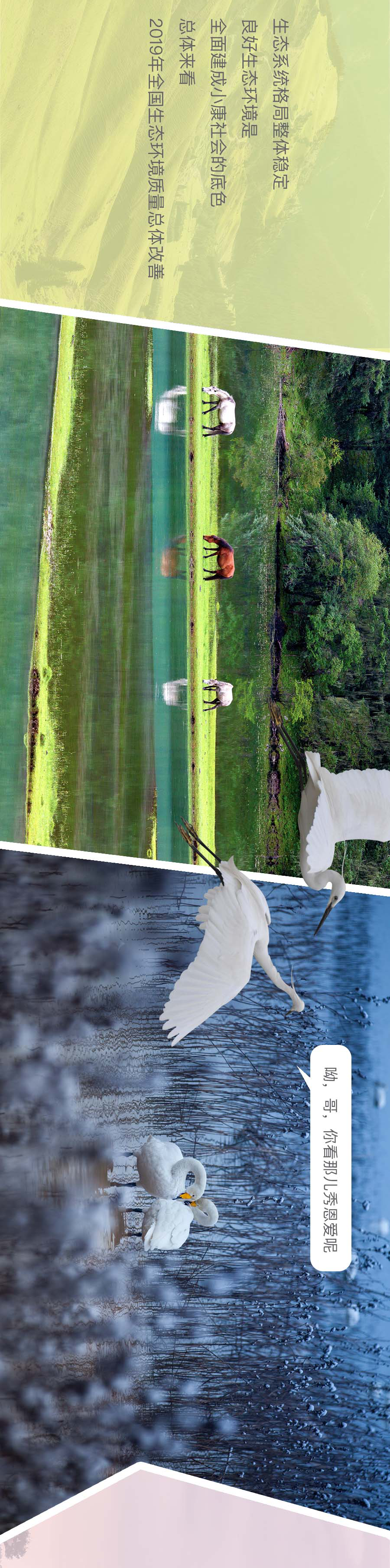 时政|翻开画卷,这里就是美丽中国!(光明网)