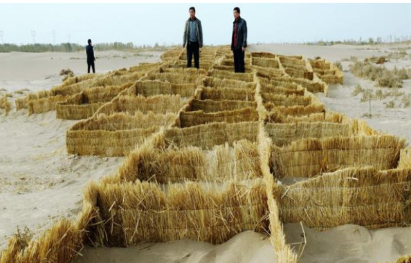 毛乌素沙漠|库布齐、毛乌素沙漠都消灭了，塔克拉玛干沙漠也能消灭吗？