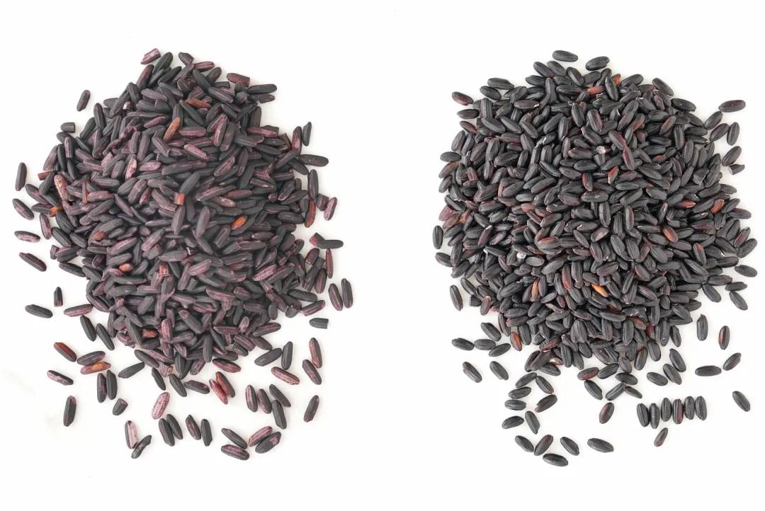 大米|黑米饭要煮得营养又好吃,你得掌握这四个要点