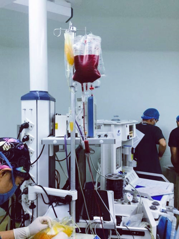 红细胞|有关自体血回输的14个经典问题