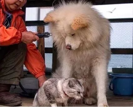 视觉志|“83岁奶奶和13岁女孩的故事。”｜百家故事