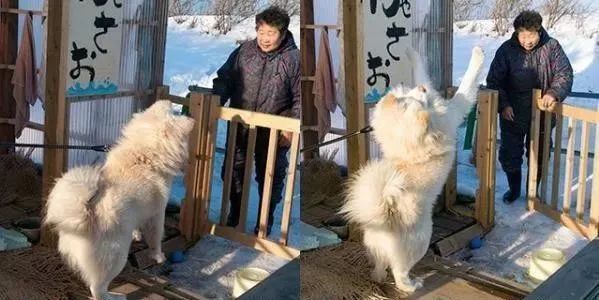 视觉志|“83岁奶奶和13岁女孩的故事。”｜百家故事