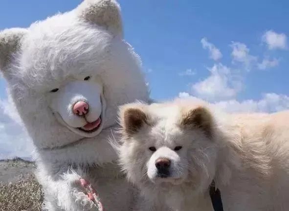 视觉志|“83岁奶奶和13岁女孩的故事。”｜百家故事