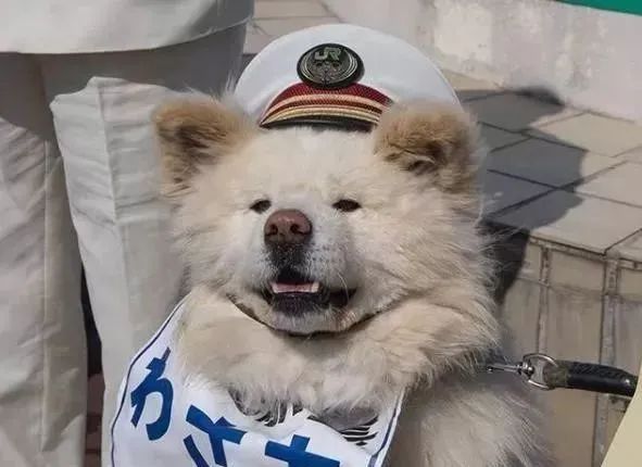 视觉志|“83岁奶奶和13岁女孩的故事。”｜百家故事